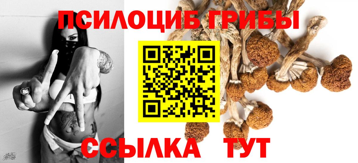 Галлюциногенные грибы мухоморы  Вход с VPN  Краснознаменск  Галлюциногенные грибы мицелий 